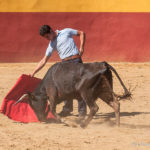 tentadero iniest_123